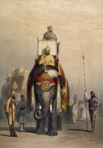 نقاشی -  5 - مرد سوار عکس نقاشی فیل