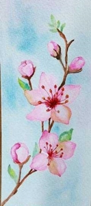 کارت پستال طرح شکوفه 